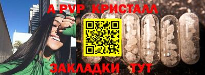стафф Тверь