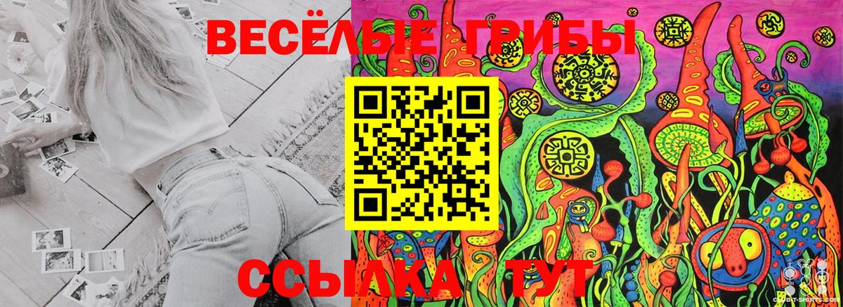 Семёнов  Галлюциногенные грибы Psilocybine cubensis  Вход с VPN 