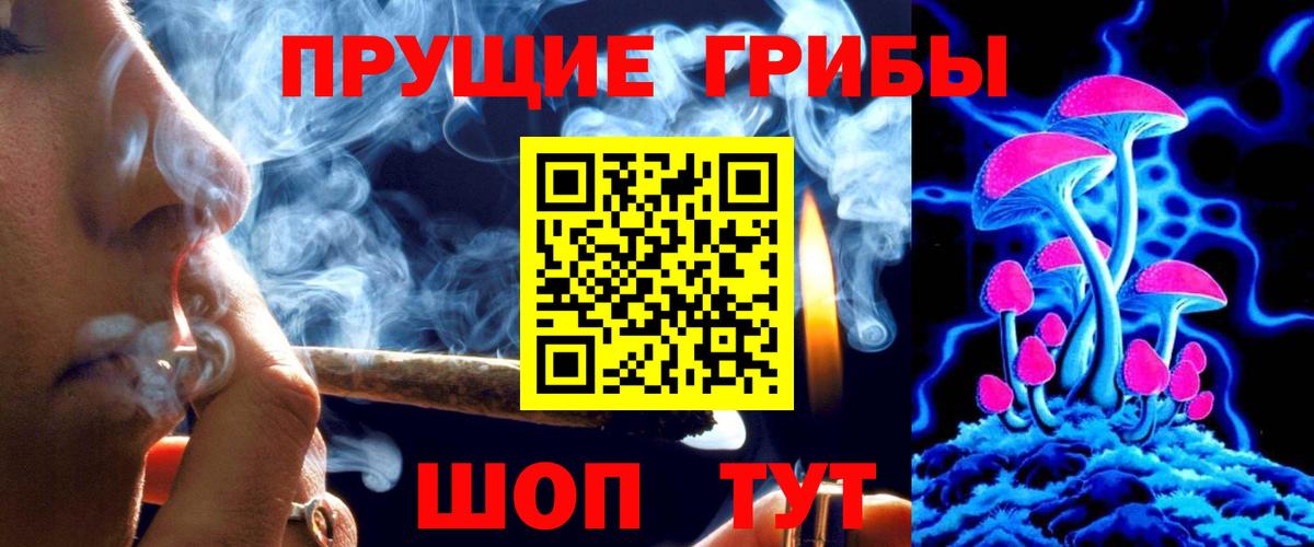 Псилоцибиновые грибы Cubensis Семёнов